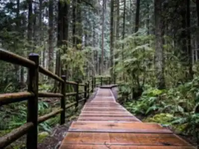 Discover Lynn Canyon Suspension Bridge in Vancouver Coast Mountains
