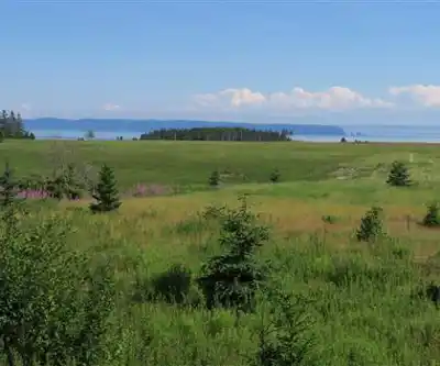 Cape Chignecto Provincial Park hiking trail - natural landscape