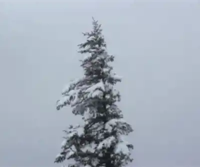 Mount Megunticook, Maine hiking trail - natural landscape
