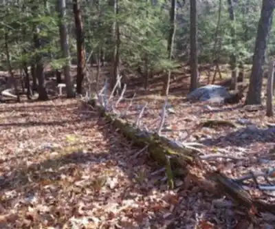 Jackie Jones Mountain, New York hiking trail - natural landscape