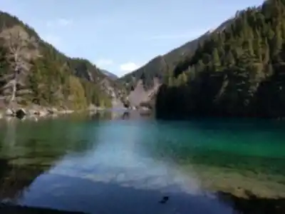 Lindeman Lake hiking trail - natural landscape