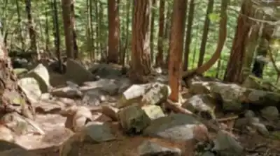 Hiking view of Lindeman Lake