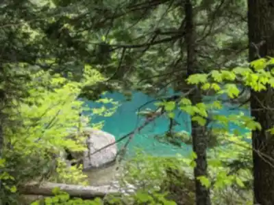 Lindeman Lake hike - nature and outdoors