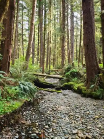 Paysage de Cape Scott Provincial Park - randonnée pédestre