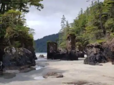 Explorer le sentier Cape Scott Provincial Park