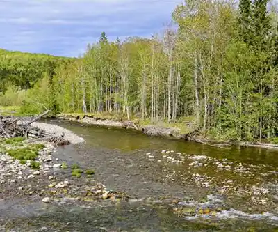 margaree river hiking trail - natural landscape