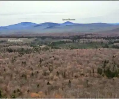 Sentier de randonnée Spruce Mountain, Vermont - paysage naturel