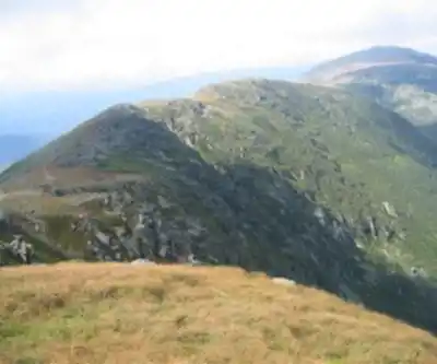 Mount Washington hiking trail - natural landscape