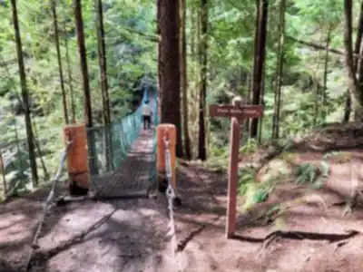 Discover Mystic Beach in Vancouver Island