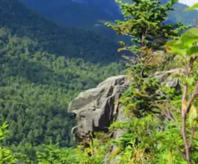 Sentier de randonnée Nippletop, New York - paysage naturel