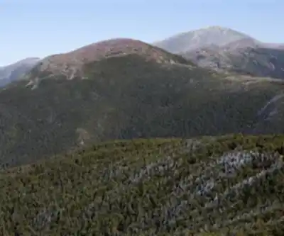 Vue en randonnée de Mount Eisenhower, New Hampshire