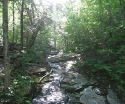Hiking view of Cardigan Mountain State Park