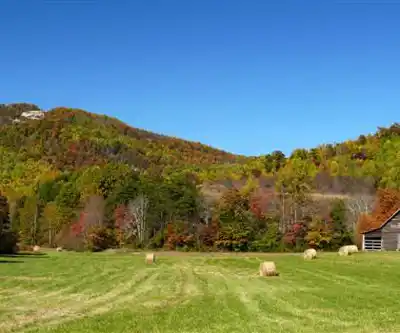 Bald Rock Mountain hiking trail - natural landscape
