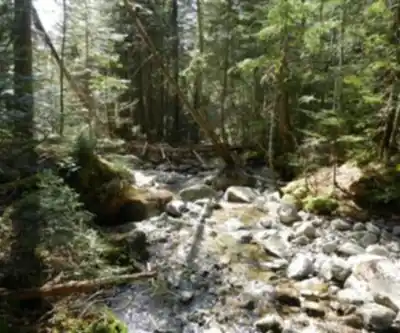 East Dix Mountain, New York hiking trail - natural landscape