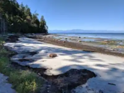 Savary Island hike - nature and outdoors
