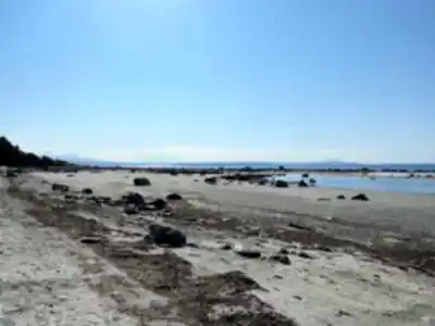 Savary Island hiking trail - natural landscape