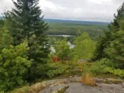 Découvrir Mont Gorille en Laurentides