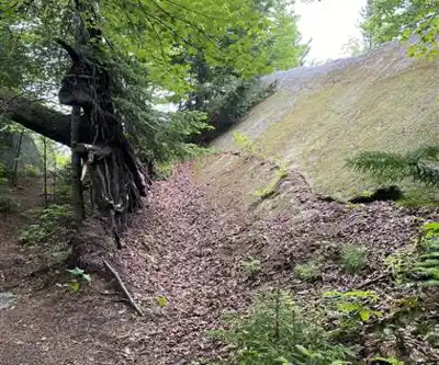 Balade en nature à Mont Gorille