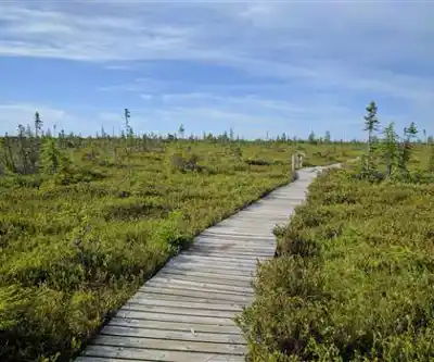 Explore Kouchibouguac National Park trail