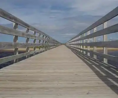 Kouchibouguac National Park hiking trail - natural landscape