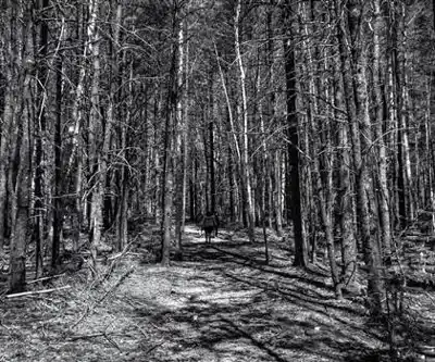 Kouchibouguac National Park scenery - hiking