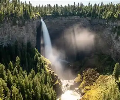 Dawson Falls hiking trail - natural landscape
