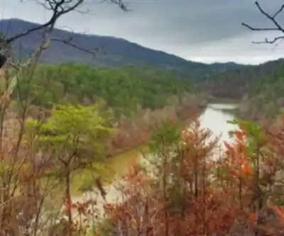 Cheaha Mountain, Alabama hiking trail - natural landscape