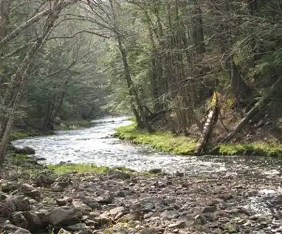 Black Brook Falls hiking trail - natural landscape