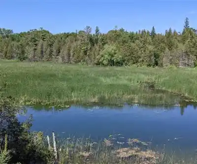 Sentier de randonnée Maxime Park - paysage naturel