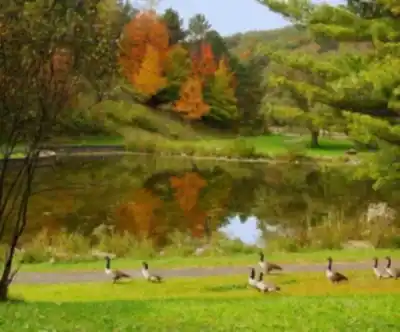 Deer Lakes Park hiking trail - natural landscape