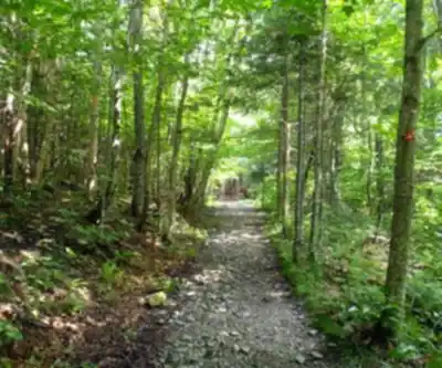 Sentier de randonnée Mont Gosford - paysage naturel