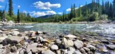 Elbow Falls hike - nature and outdoors