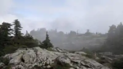 Alouette Mountain hike - nature and outdoors