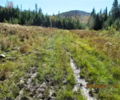 East Kennebago Mountain, Maine hiking trail - natural landscape