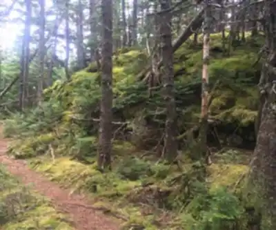 Hiking view of The Traveler, Maine