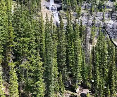 Panther Falls hike - nature and outdoors