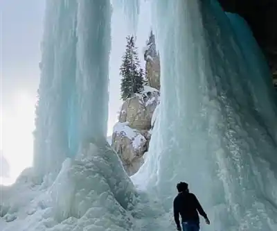 Discover Panther Falls in Canadian Rockies