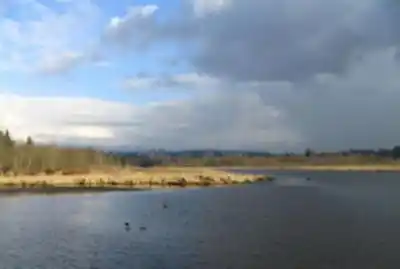 Burnaby Lake hiking trail - natural landscape