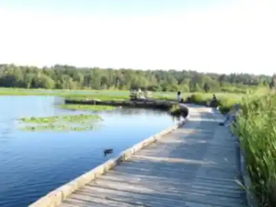Hiking view of Burnaby Lake