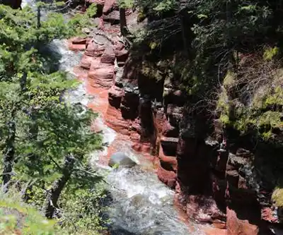 Sentier de randonnée Blakiston Falls - paysage naturel