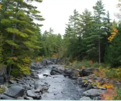 Sentier de randonnée Mount Kineo, Maine - paysage naturel