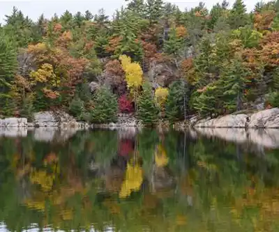 Sentier de randonnée Lake Killarney - paysage naturel