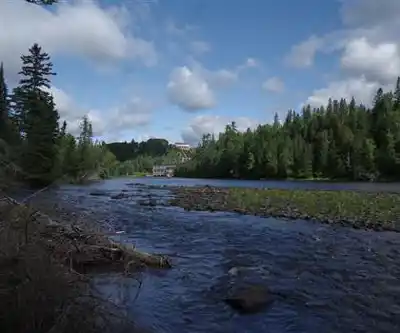 Cedar Falls hiking trail - natural landscape