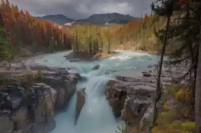 Explore Sunwapta Falls trail