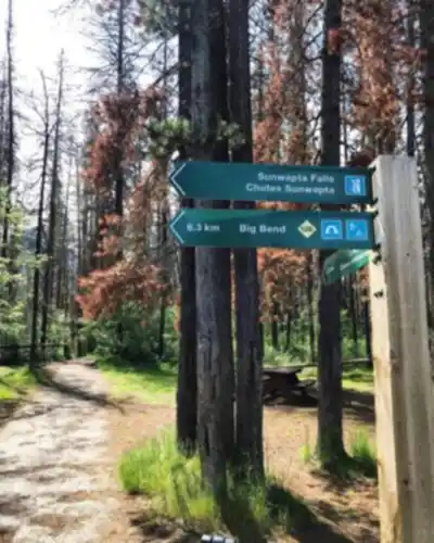 Sunwapta Falls hike - nature and outdoors