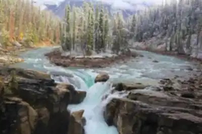 Sunwapta Falls hiking trail - natural landscape