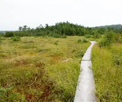 Blue Hills Reservation hiking trail - natural landscape