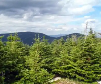 Mount Redington, Maine hiking trail - natural landscape