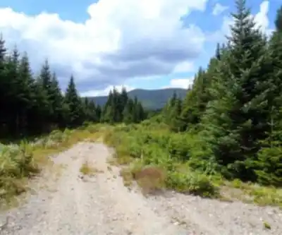 Hiking view of Mount Redington, Maine