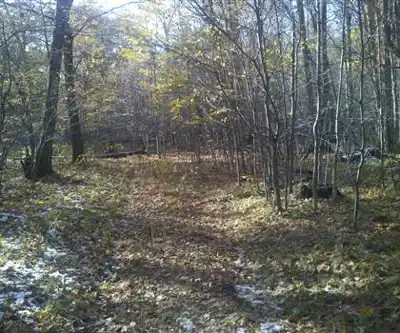 Frost Hill, New York hiking trail - natural landscape